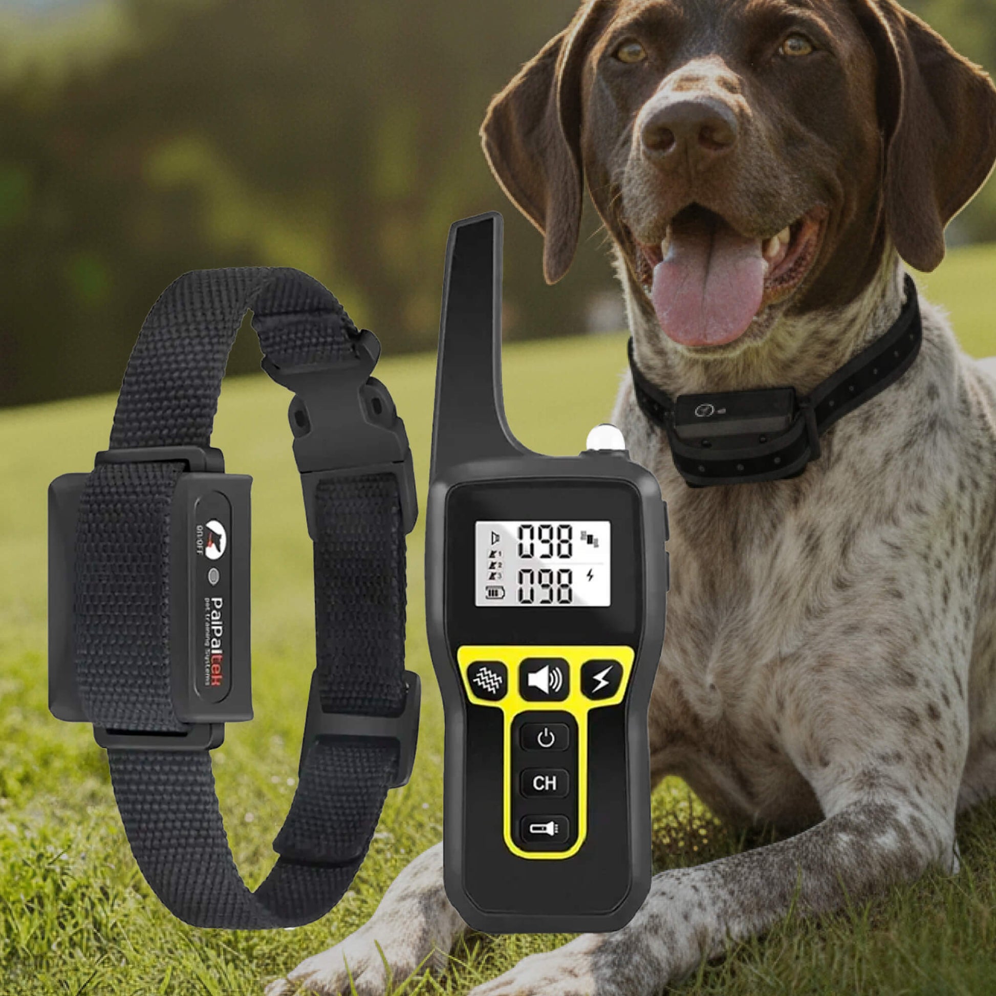 Obroża Elektryczna | Obroża Wibracyjna Dla Psa-Dog Collar-Polizatto