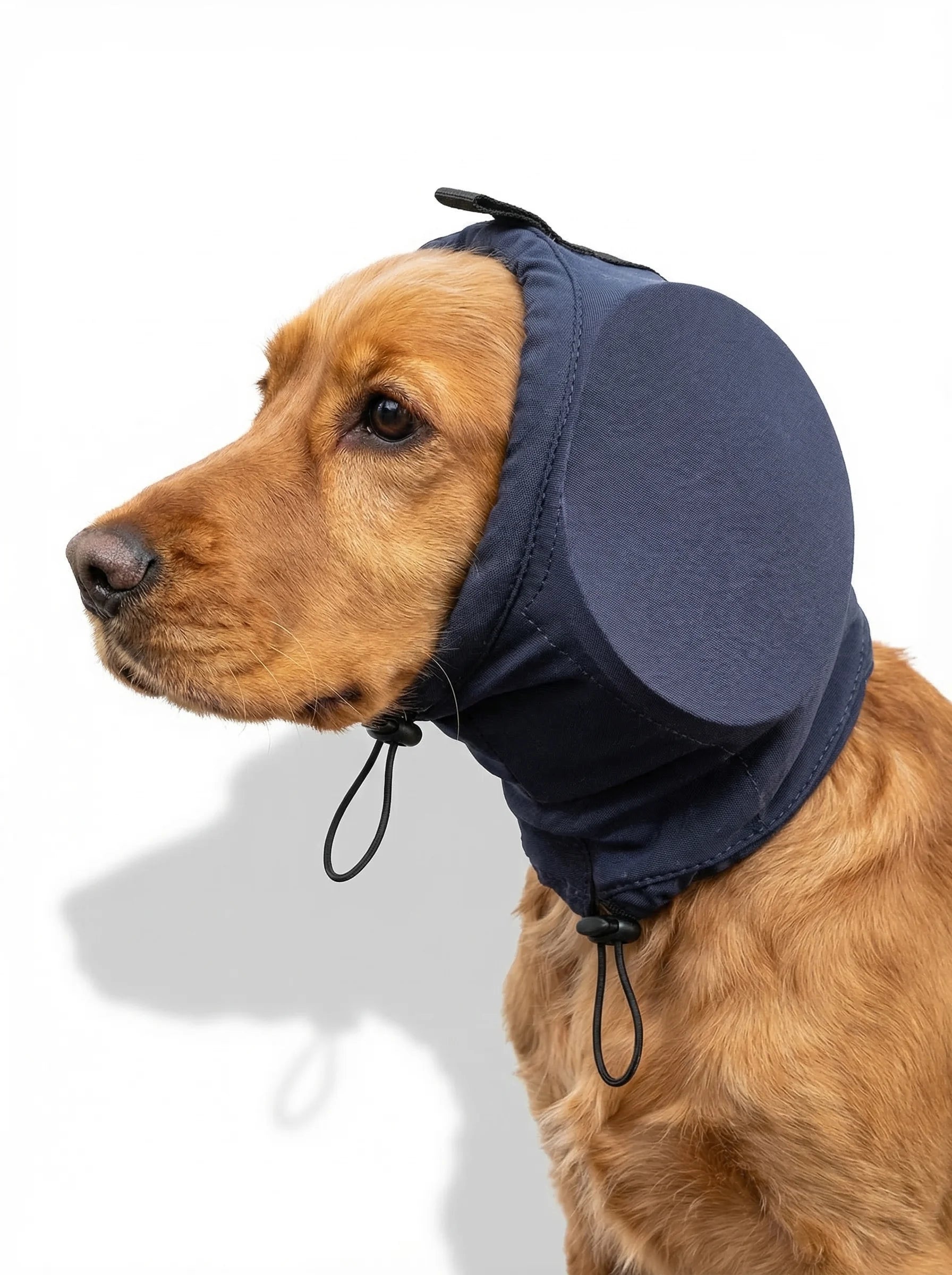 Nauszniki Dla Psa | Słuchawki Wygłuszające-Pet Hat-Polizatto
