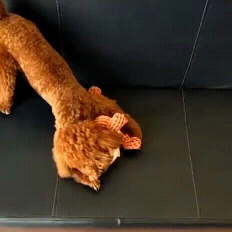 Zabawka Dla Psa | Piszcząca Zabawka Dla Psa-Dog Toy-Polizatto