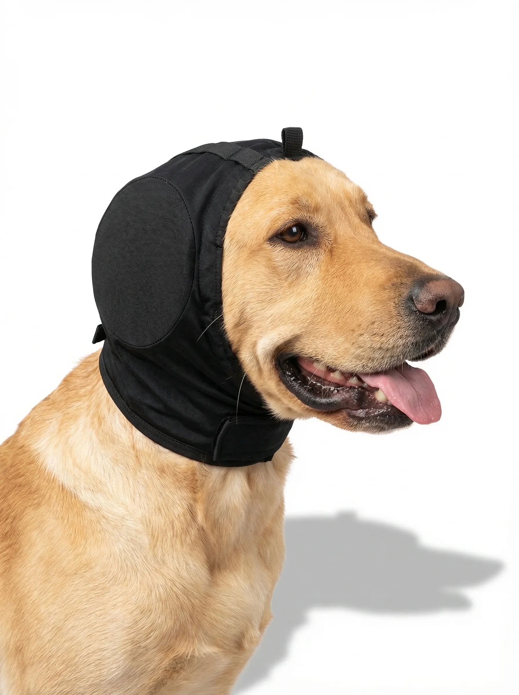Nauszniki Dla Psa | Słuchawki Wygłuszające-Pet Hat-Polizatto