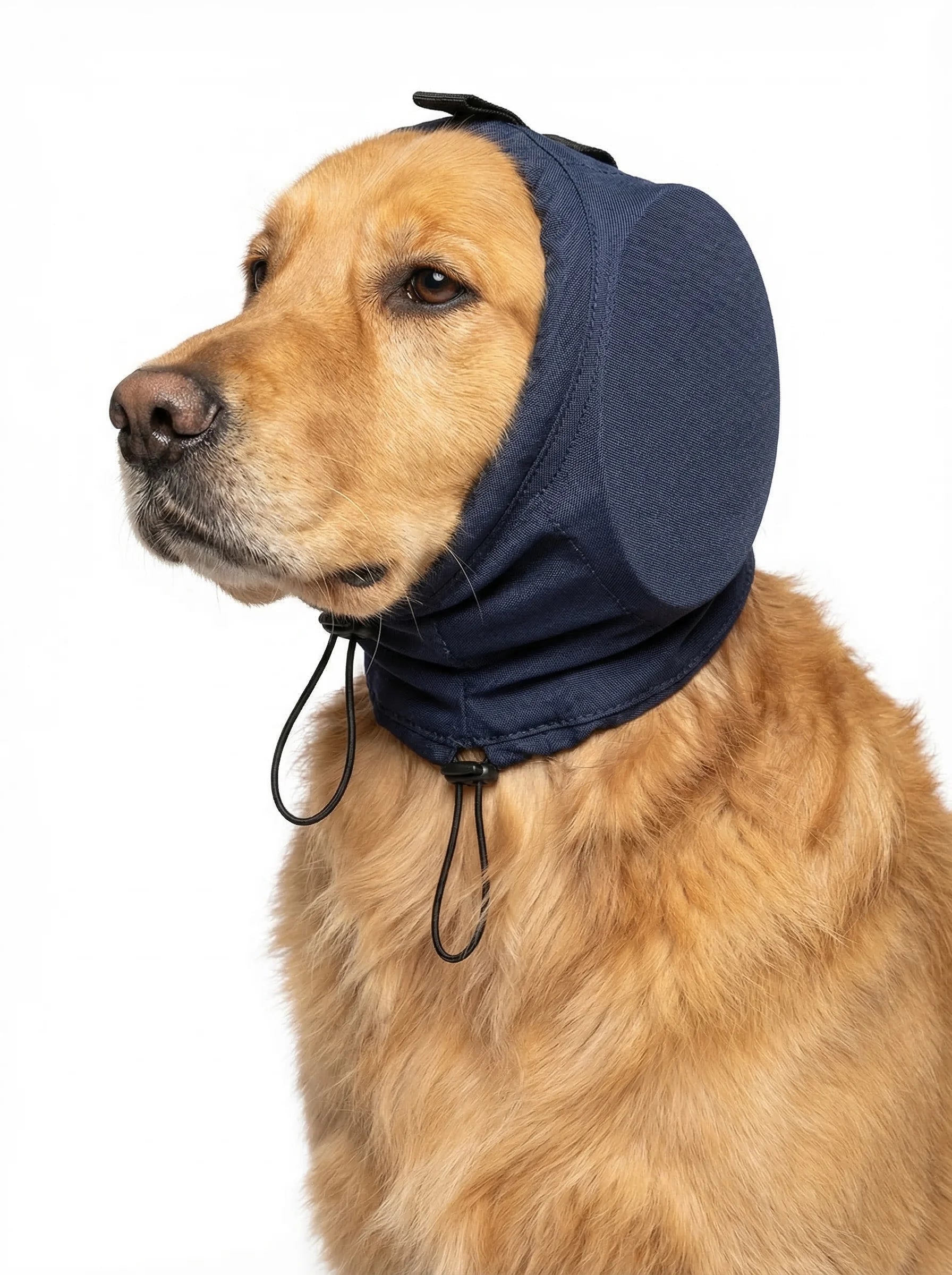 Nauszniki Dla Psa | Słuchawki Wygłuszające-Pet Hat-Polizatto