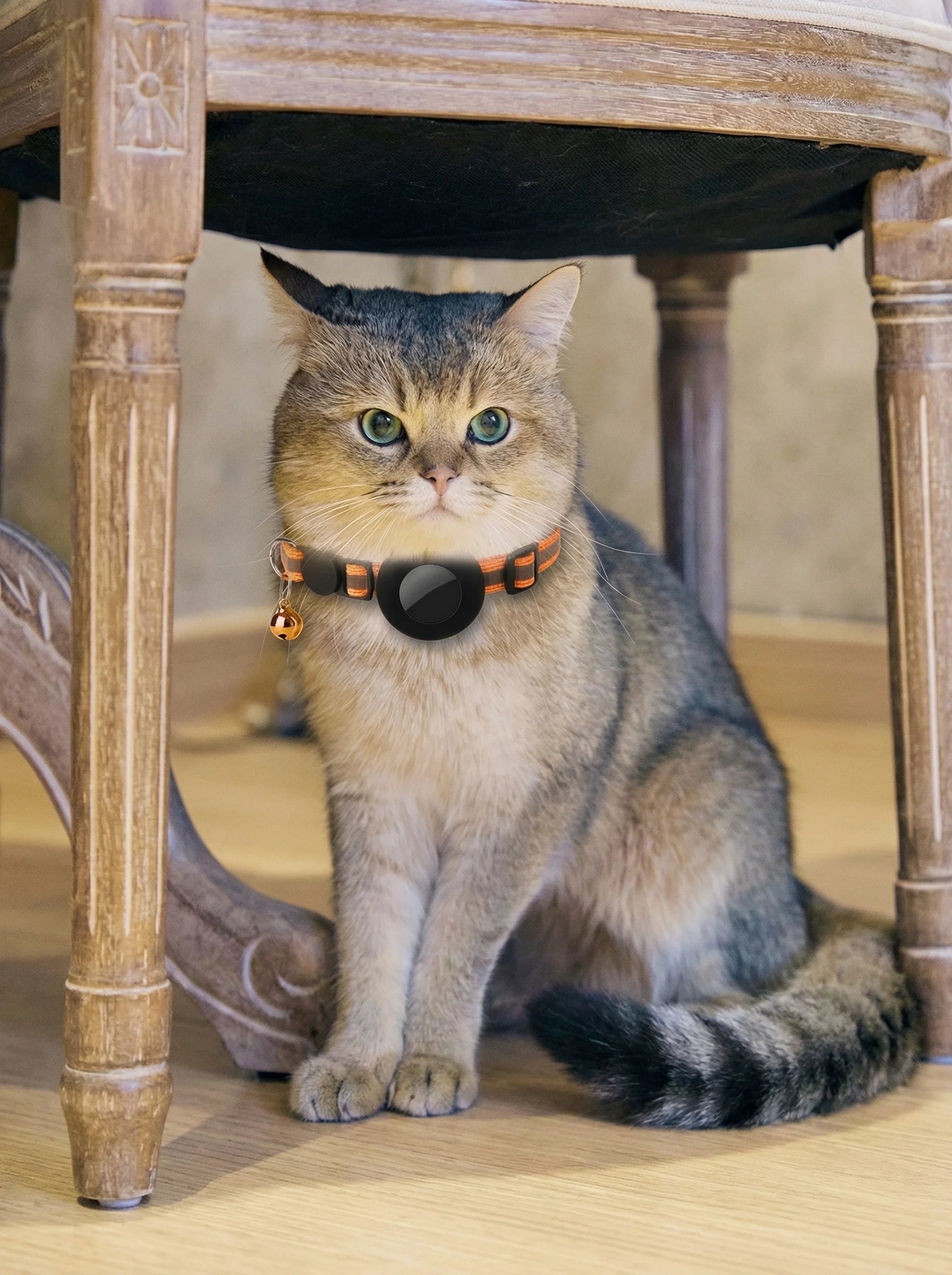 Obroża GPS Dla Kotów | Obroża Z Lokalizatorem-Pet Collar-Polizatto