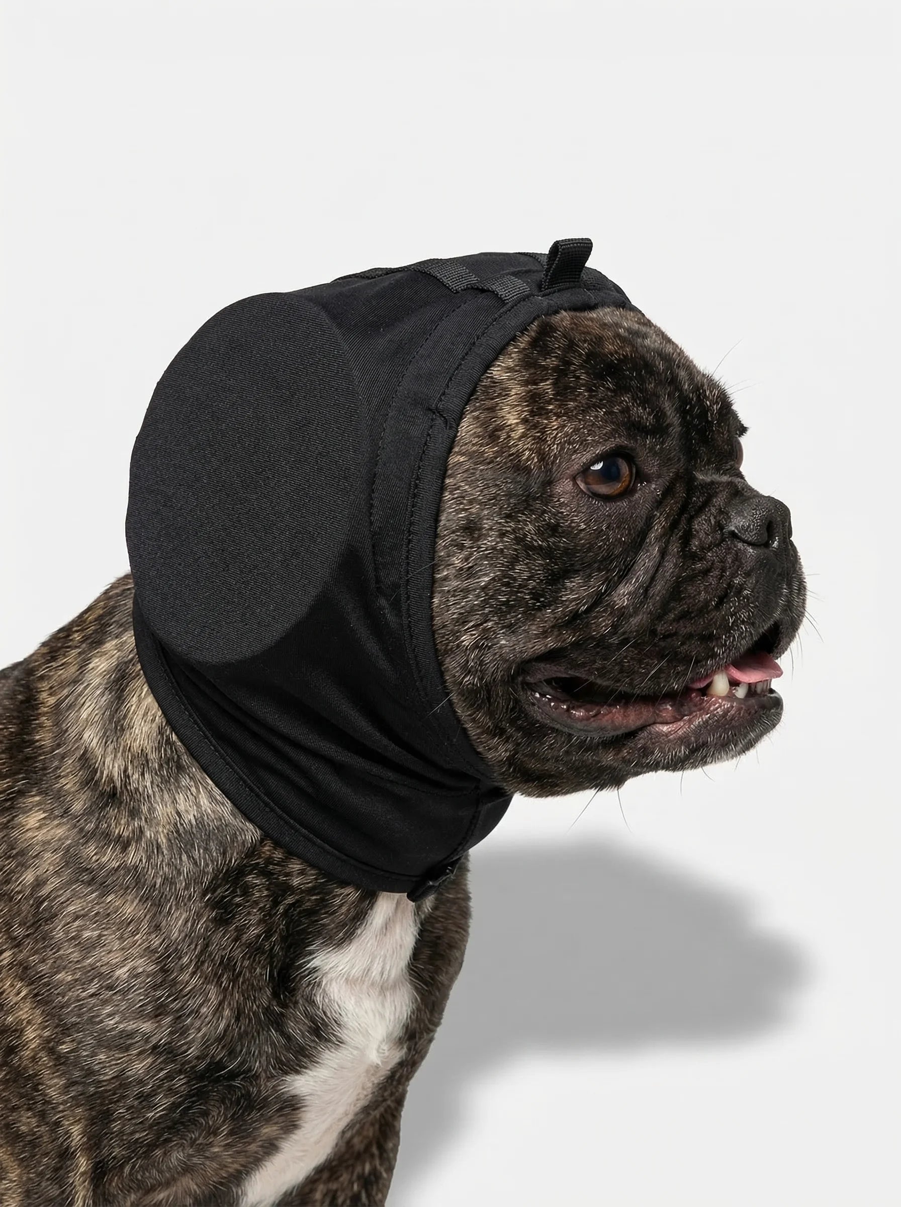 Nauszniki Dla Psa | Słuchawki Wygłuszające-Pet Hat-Polizatto