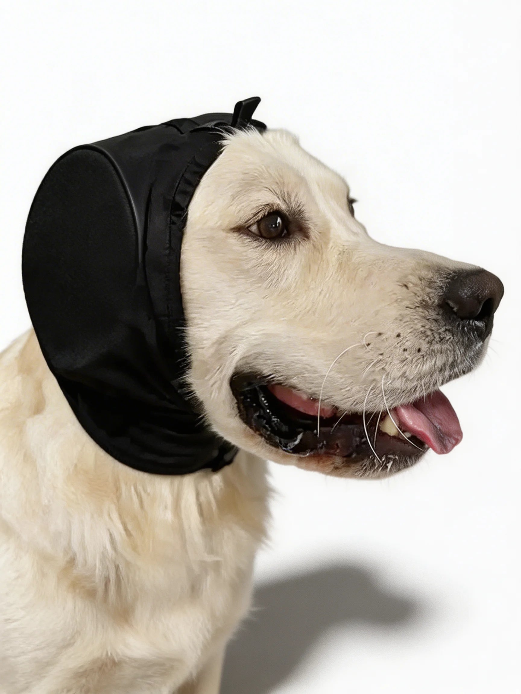 Nauszniki Dla Psa | Słuchawki Wygłuszające-Pet Hat-Polizatto
