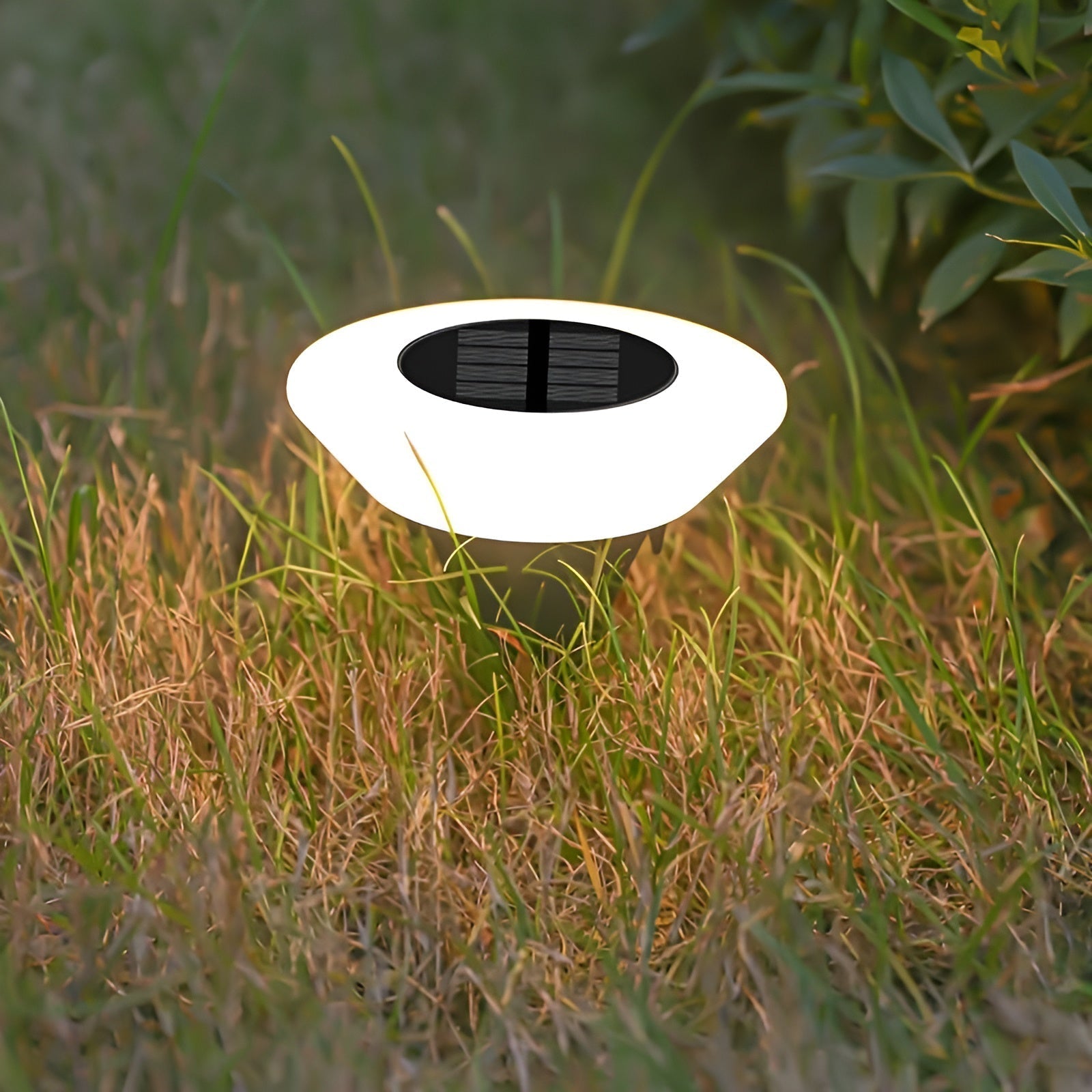 Oświetlenie Ogrodowe | Lampy Ogrodowe-Garden Lights-Polizatto