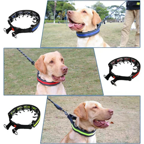 Obroża Treningowa Dla Psa | Obroża Dla Psa-Dog Leash-Polizatto