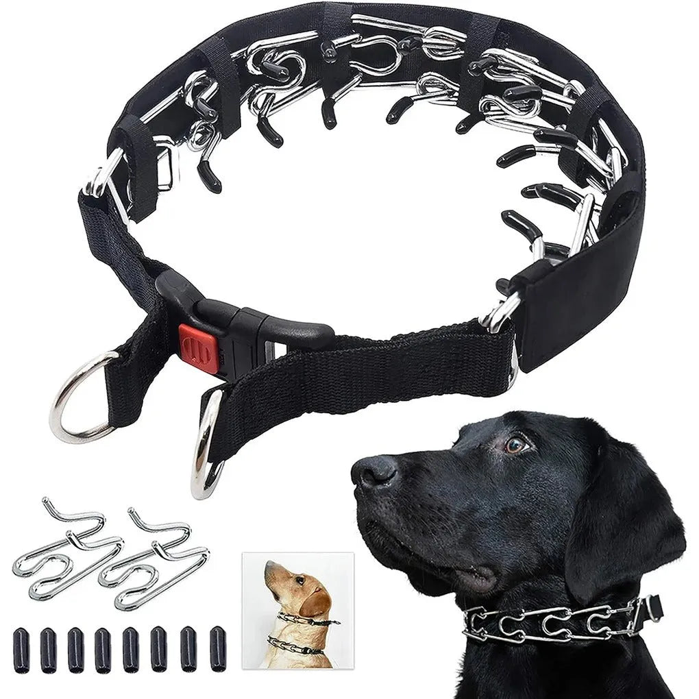 Obroża Treningowa Dla Psa | Obroża Dla Psa-Dog Leash-Polizatto