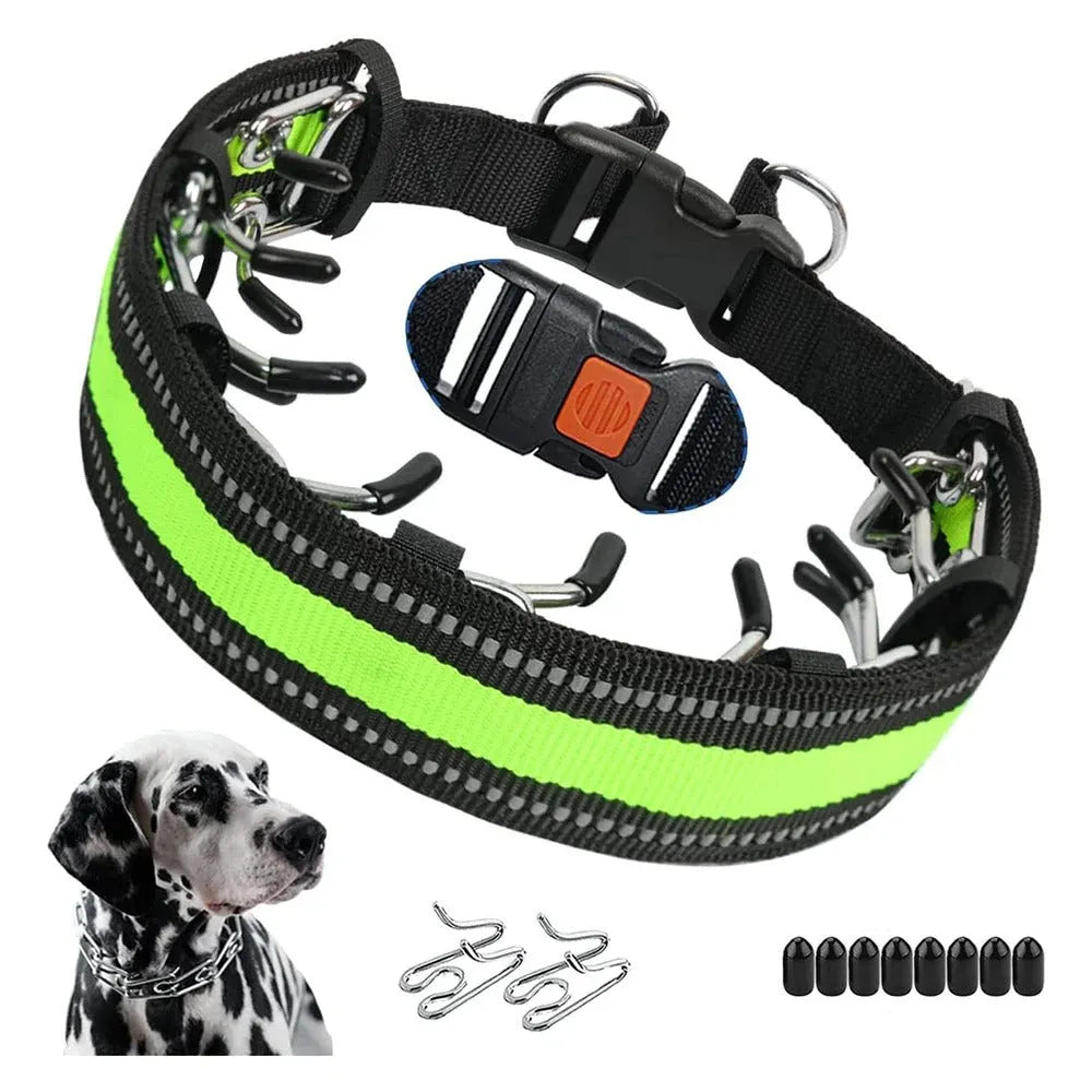 Obroża Treningowa Dla Psa | Obroża Dla Psa-Dog Leash-Polizatto