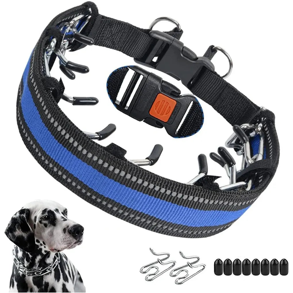 Obroża Treningowa Dla Psa | Obroża Dla Psa-Dog Leash-Polizatto