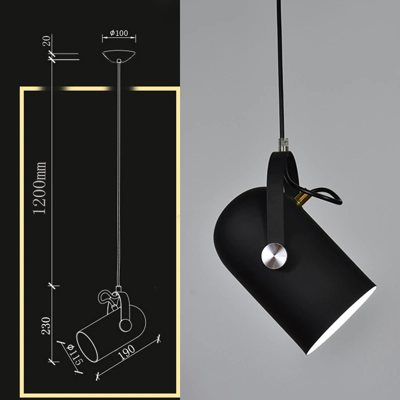 Lampa Wisząca Sufitowa | Reflektor Do Wnętrz-Ceiling Lamp-Polizatto