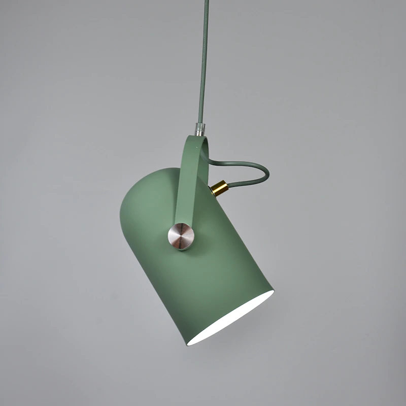 Lampa Wisząca Sufitowa | Reflektor Do Wnętrz-Ceiling Lamp-Polizatto
