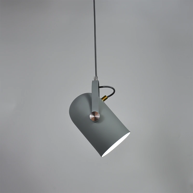 Lampa Wisząca Sufitowa | Reflektor Do Wnętrz-Ceiling Lamp-Polizatto