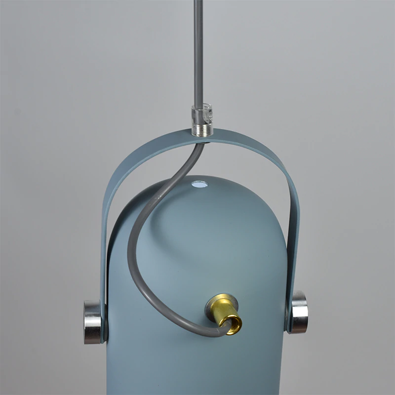Lampa Wisząca Sufitowa | Reflektor Do Wnętrz-Ceiling Lamp-Polizatto