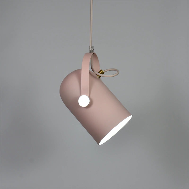 Lampa Wisząca Sufitowa | Reflektor Do Wnętrz-Ceiling Lamp-Polizatto