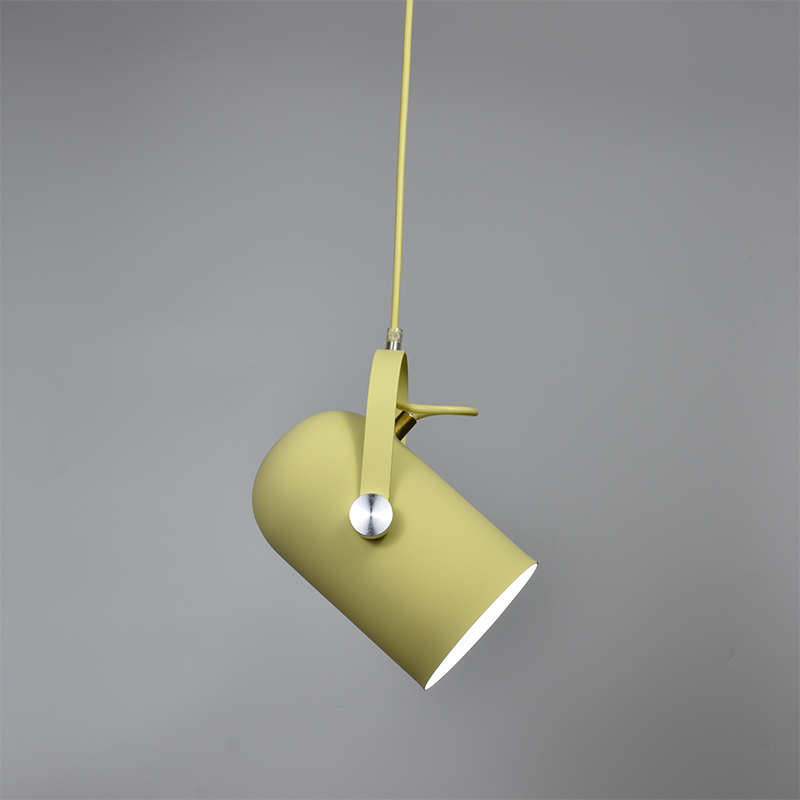 Lampa Wisząca Sufitowa | Reflektor Do Wnętrz-Ceiling Lamp-Polizatto